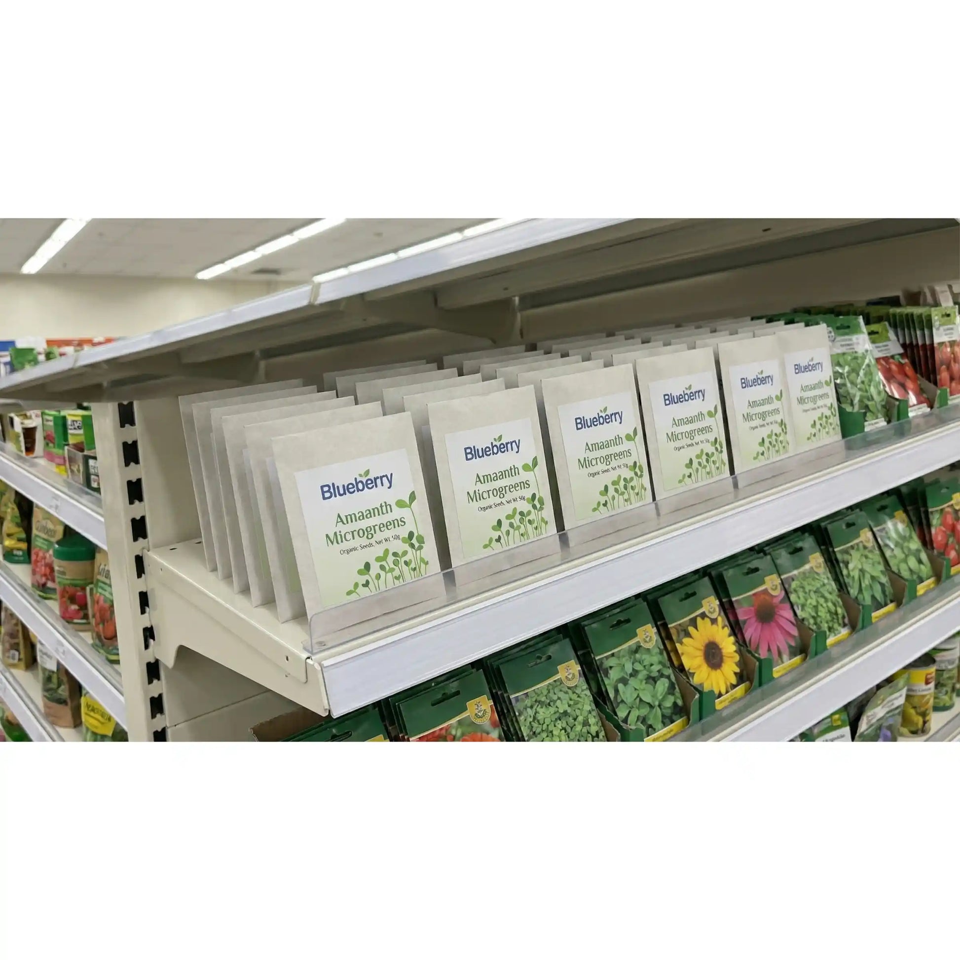 Amaranth Microgreens Seeds 100g – Fast-Growing, Nutrient-Dense Greens – Premium Quality