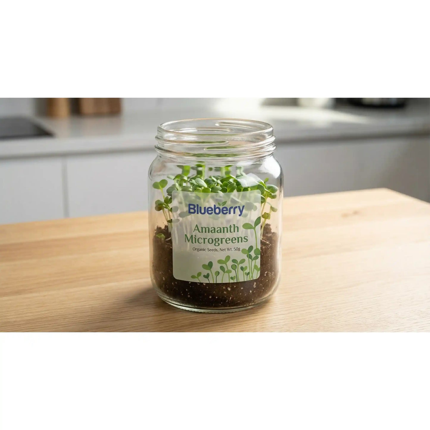 Amaranth Microgreens Seeds 100g – Fast-Growing, Nutrient-Dense Greens – Premium Quality