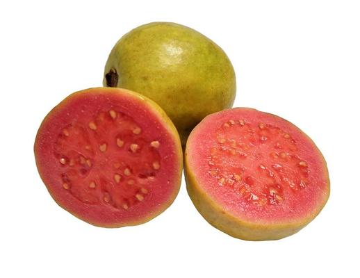 Arka Kiran Guava 30cm | Blueberry Botanicals