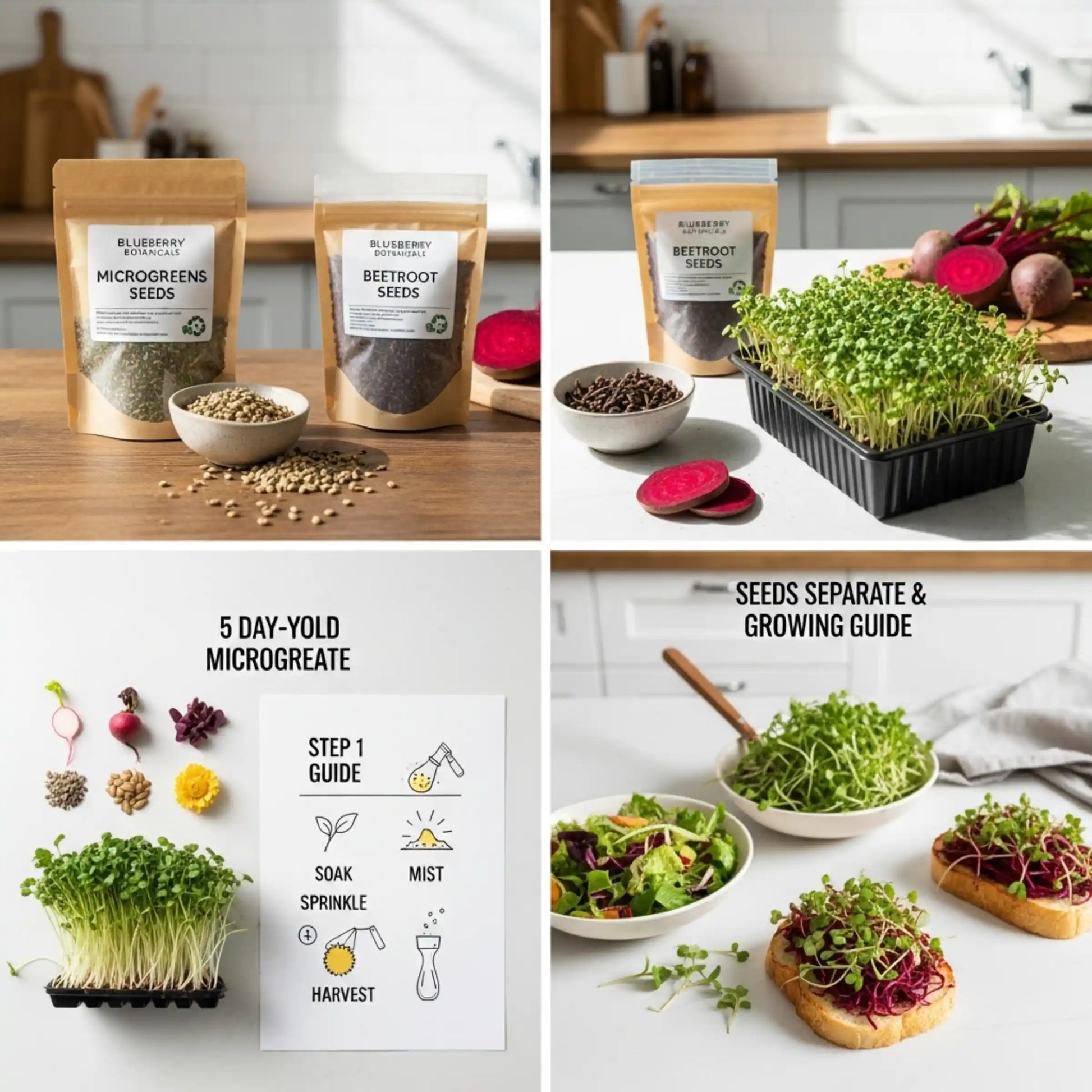 Beetroot Microgreens Seeds 50g – Vibrant Red Nutrient-Dense Greens – Premium Quality