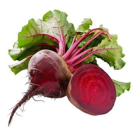 Beetroot Seeds 70pcs - Country Variety Sweet Red Roots-Blueberry Botanicals