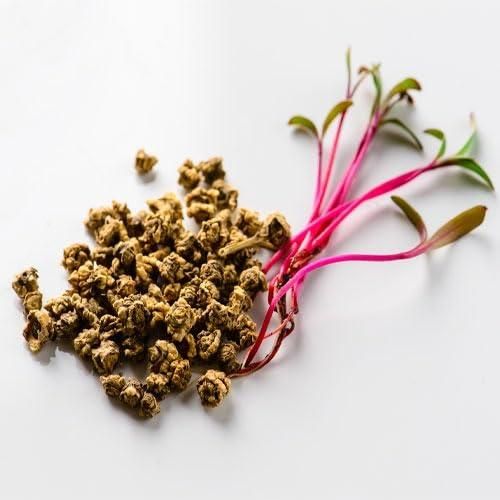 beetroot-seeds-pcs-high-yielding-beta-vulgaris-free-organic-pot-mix-blueberry-botanicals
