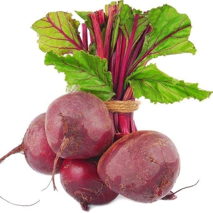 beetroot-seeds-pcs-high-yielding-beta-vulgaris-free-organic-pot-mix-blueberry-botanicals