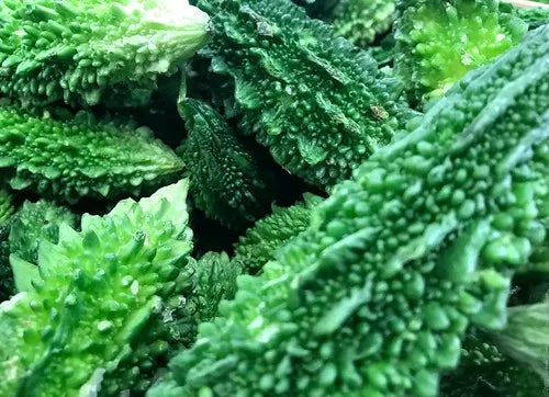 Bitter Gourd Seeds 10pcs - Country Variety Medicinal Climbing- Blueberry Botanicals