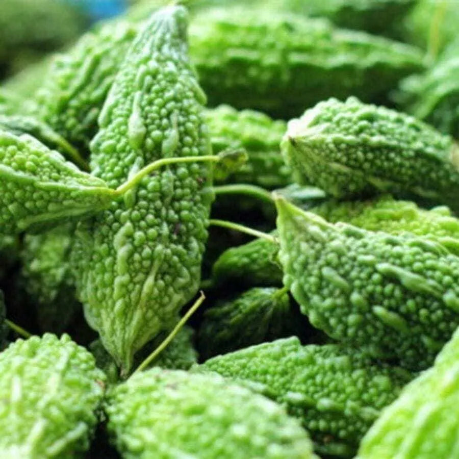 Bitter Gourd Seeds 10pcs - Country Variety Medicinal Climbing