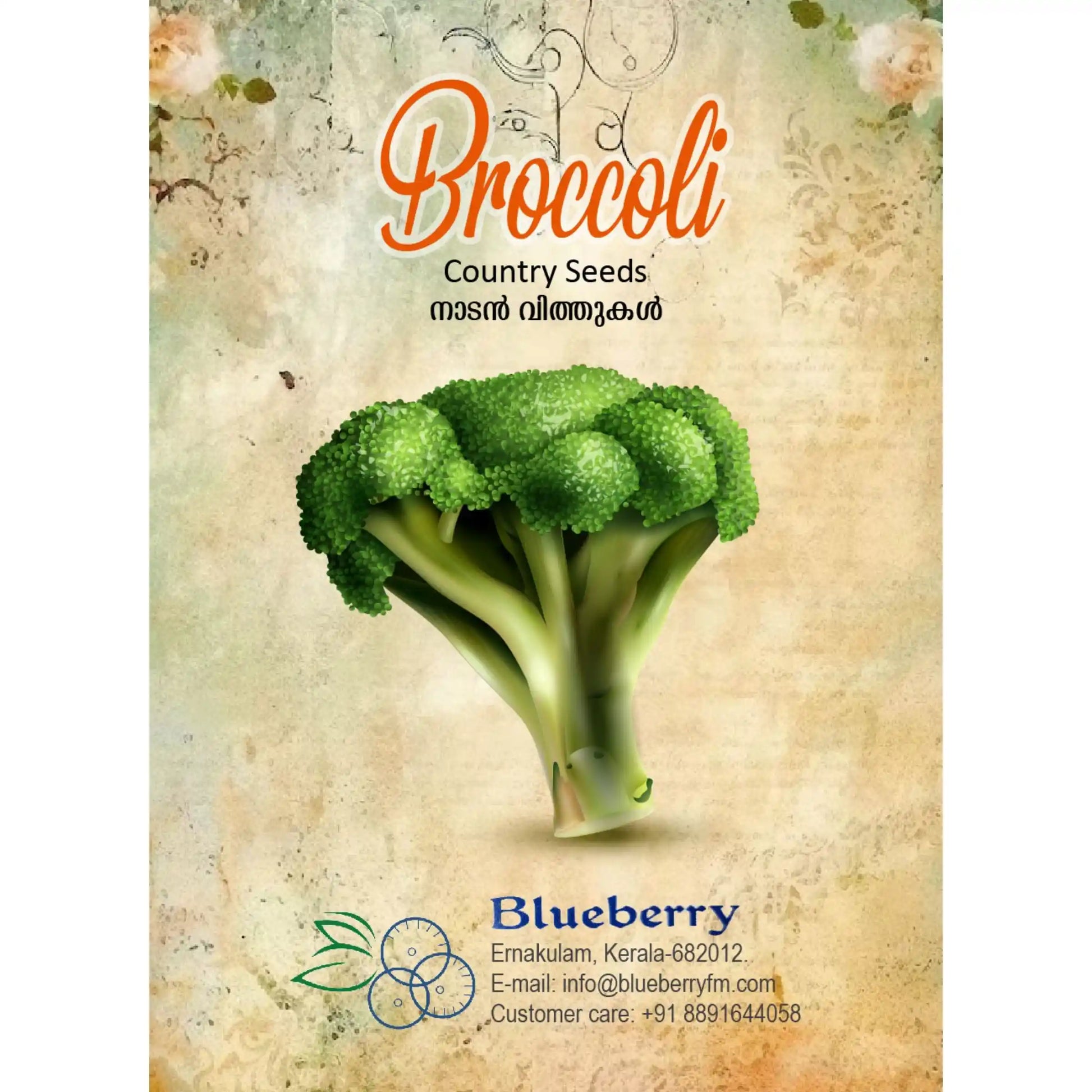 broccoli-seeds-country-variety-60-pack-premium-quality-blueberry-botanicals
