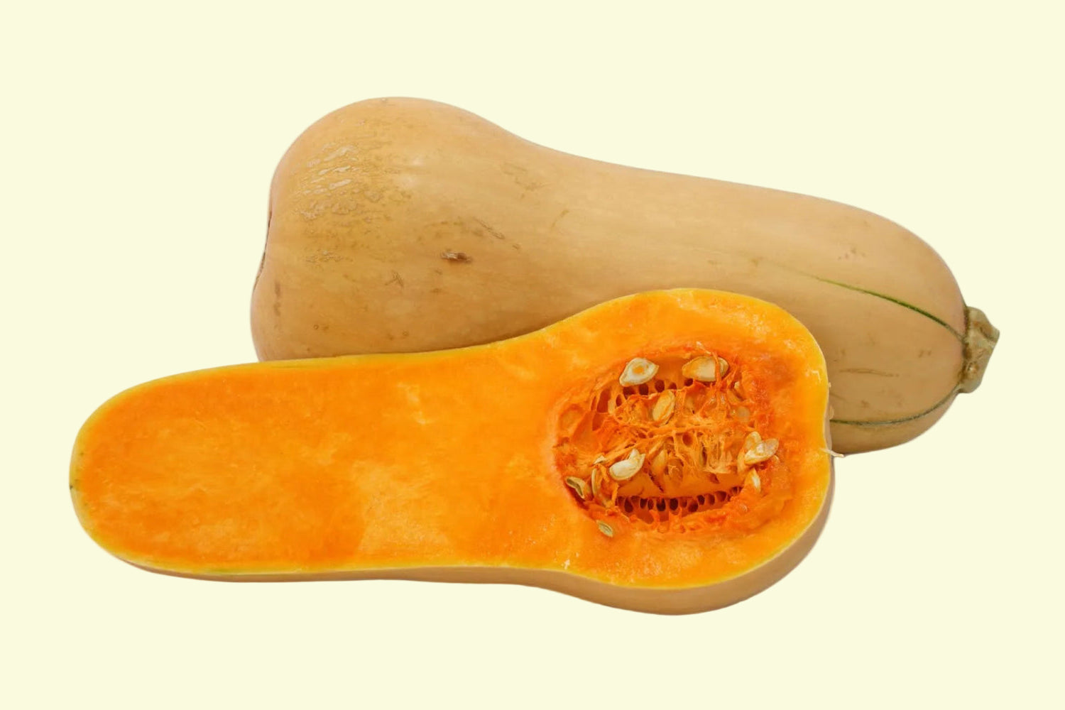 Butternut Seeds Country Variety 20 Pack - Premium Quality
