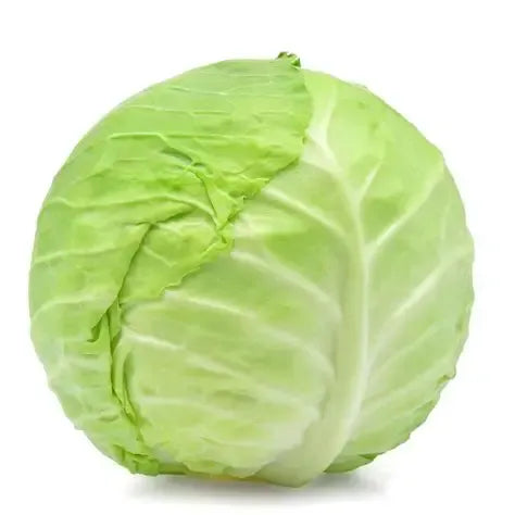 Cabbage Seeds White 100pcs - Country Variety Cool Season- Blueberry Botanicals