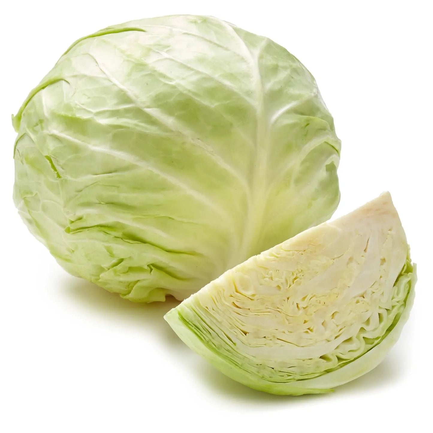 Cabbage Seeds White 100pcs - Country Variety Cool Season- Blueberry Botanicals