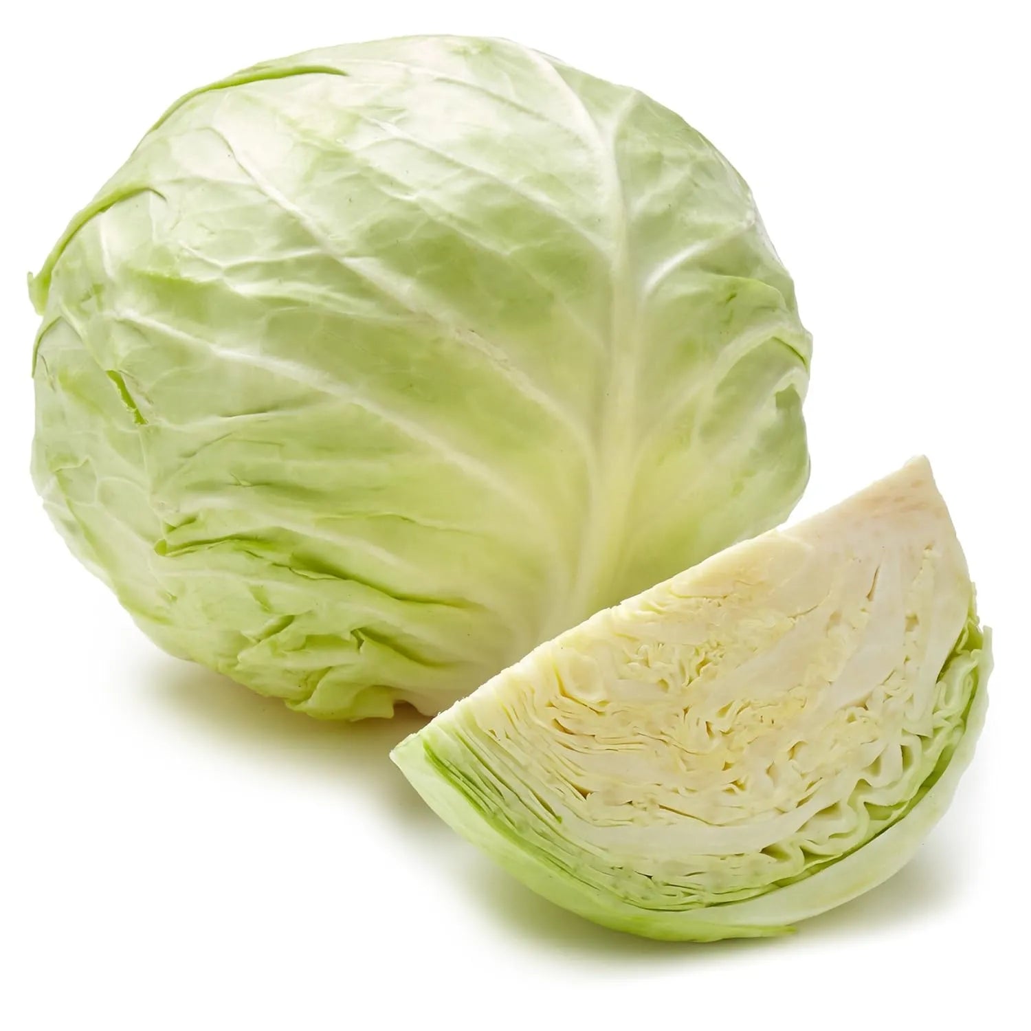 Cabbage Seeds White 100pcs - Country Variety Cool Season- Blueberry Botanicals
