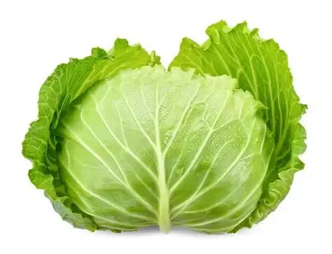 Cabbage Seeds White 100pcs - Country Variety Cool Season- Blueberry Botanicals