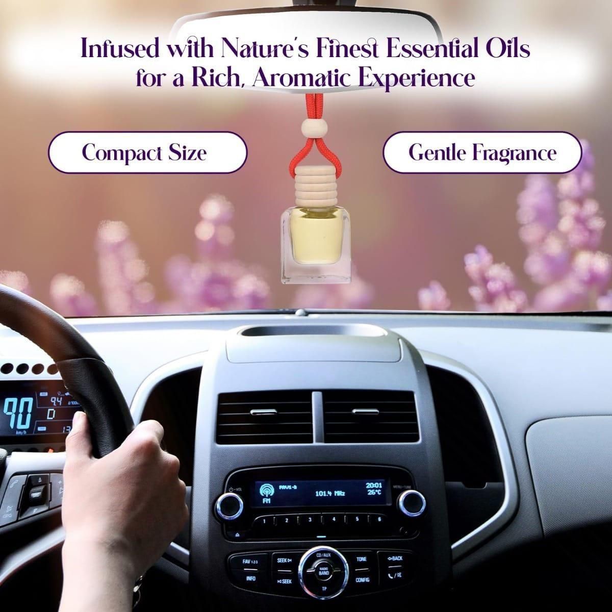 Car Air Freshener Hanging Pods - Premium Scent Diffuser | Blueberry Botanicals