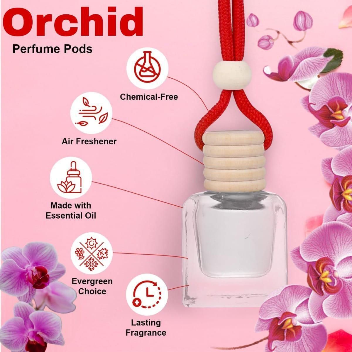 Car Air Freshener Hanging Pods - Premium Scent Diffuser | Blueberry Botanicals