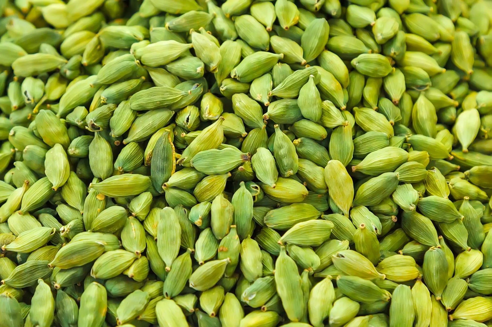 Cardamom Oil 1L - Premium Elettaria Cardamomum Pure Essential Oil