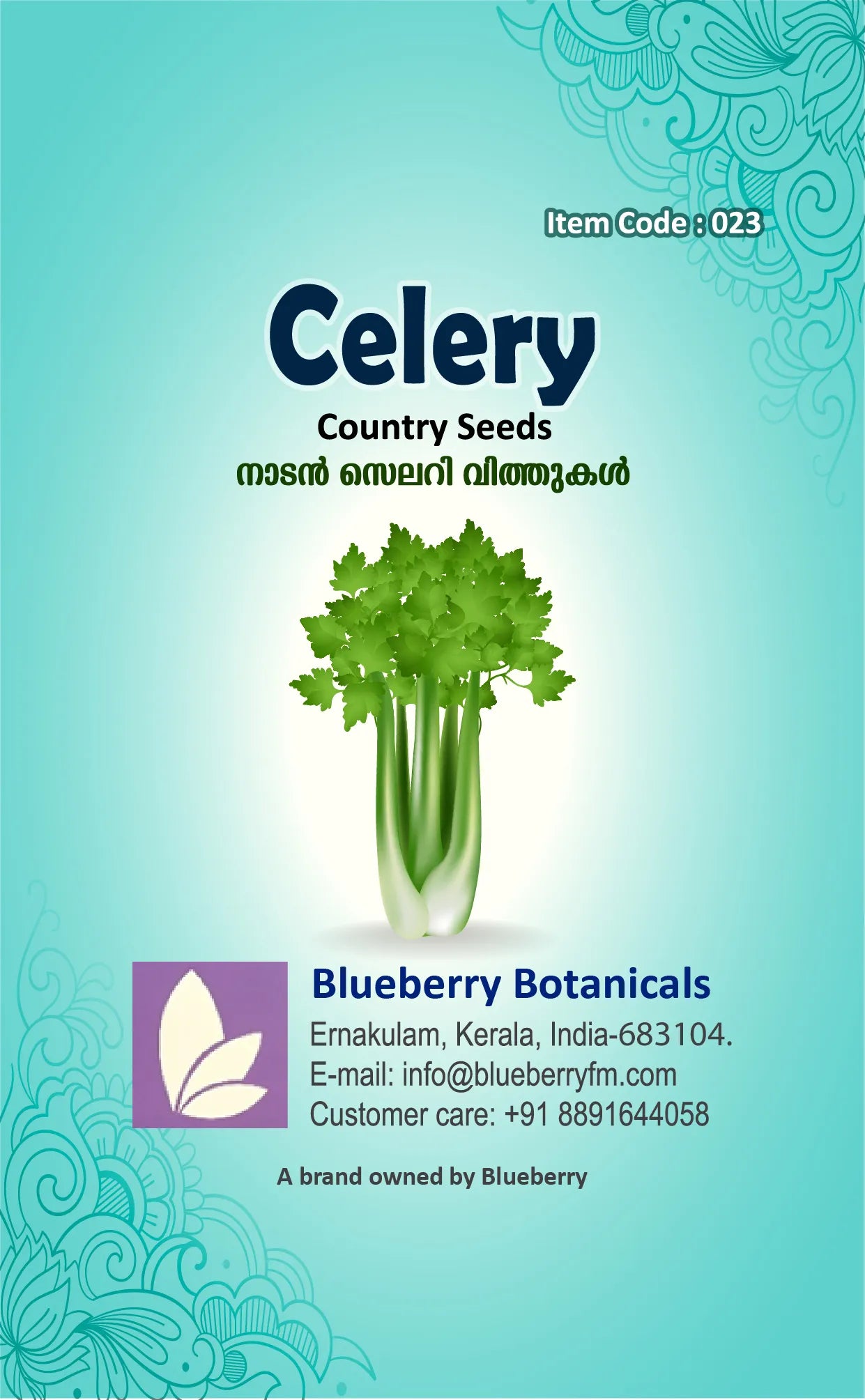 Celery Seeds - Country Variety 40 Seeds | Blueberry Botanicals