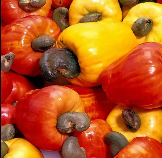 Chilli Cheese Cashews 200g Kerala Premium Spicy - Blueberry Botanicals