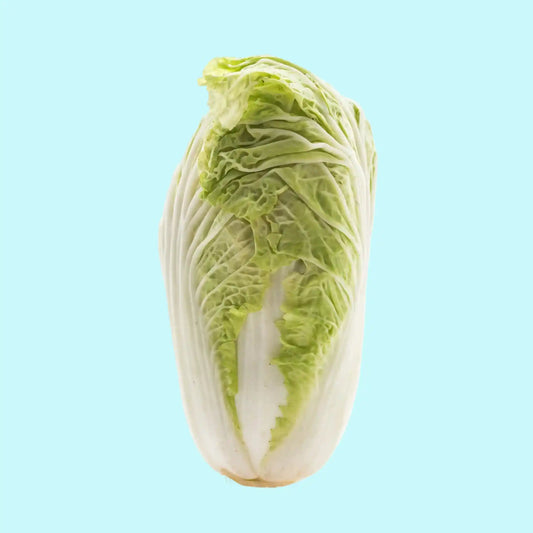 Chinese Cabbage Seeds 60pcs - Hybrid Iceberg Cool Season- Blueberry Botanicals