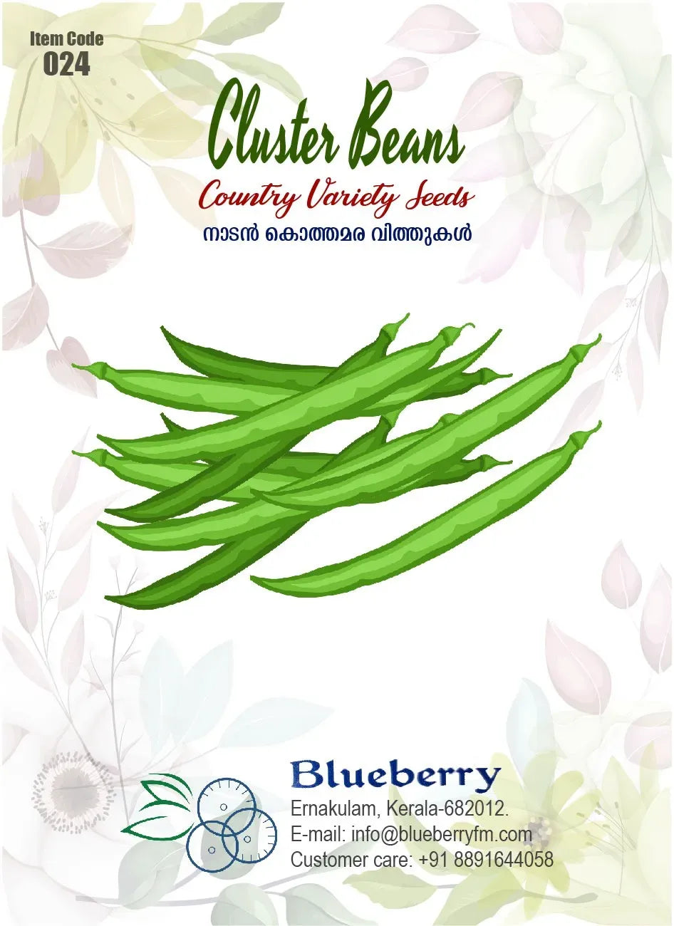 Cluster Beans Seeds 5g - Country Variety Nitrogen Fixing Heirloom