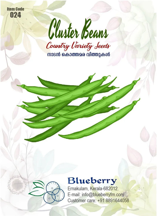 Cluster Beans Seeds 5g - Country Variety Nitrogen Fixing Heirloom