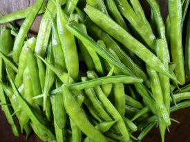 Cluster Beans Seeds 5g - Country Variety Nitrogen Fixing- Blueberry Botanicals
