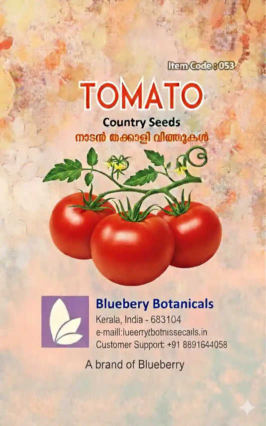 Country Tomato Seeds 80pcs - Traditional Heirloom Variety-Blueberry Botanicals