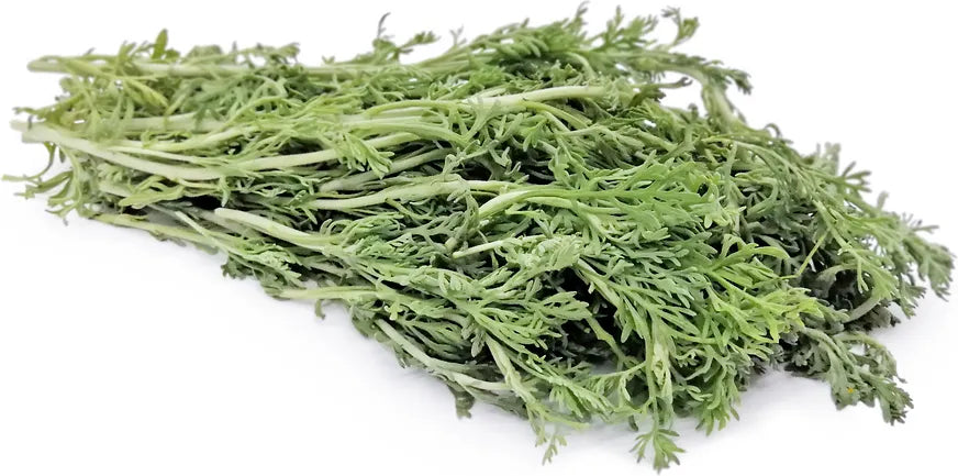 Davana Essential Oil 1L - Premium Artemisia Pallens Therapeutic Grade