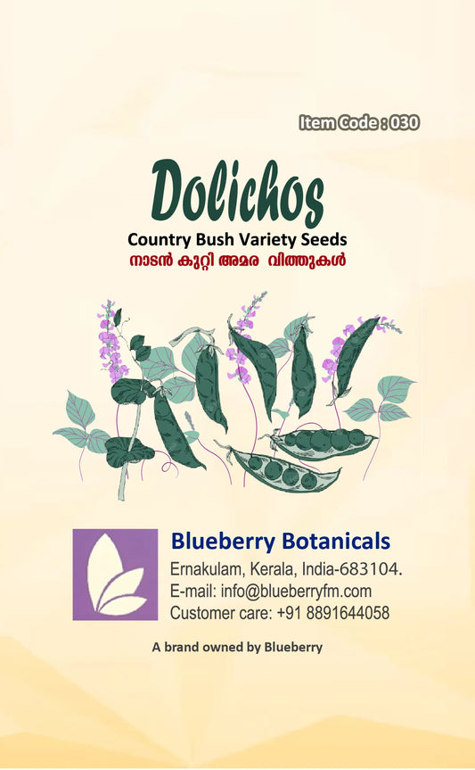  Dolichos Seeds 20pcs - High Yielding Heirloom Climbing Bean- Blueberry Botanicals