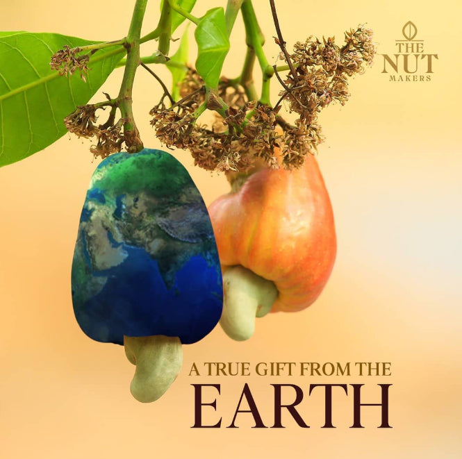 Flaming Chilli Garlic Cashews 500g Kerala Premium - Blueberry Botanicals