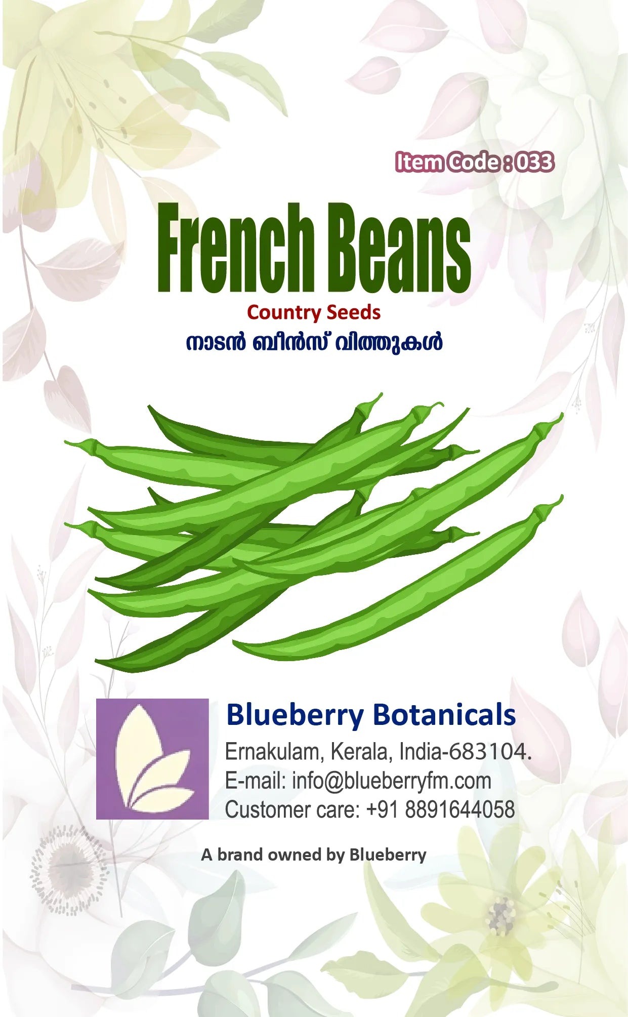 French Beans Seeds 50pcs - Country Variety Climbing Legume- Blueberry Botanicals