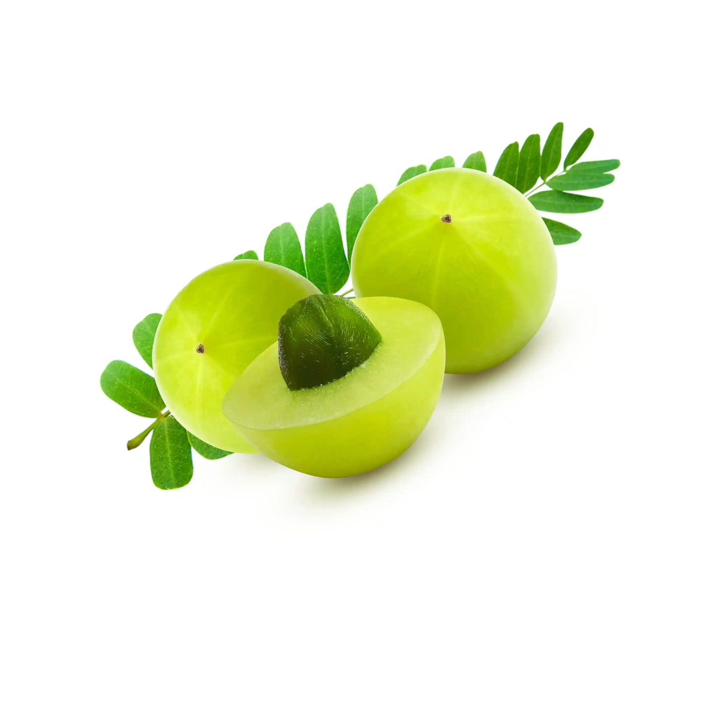gooseberry-nellikka-amla-powder-50g-pure-herbal-hair-care-powder-phyllanthus-emblica-blueberry-botanicals-india
