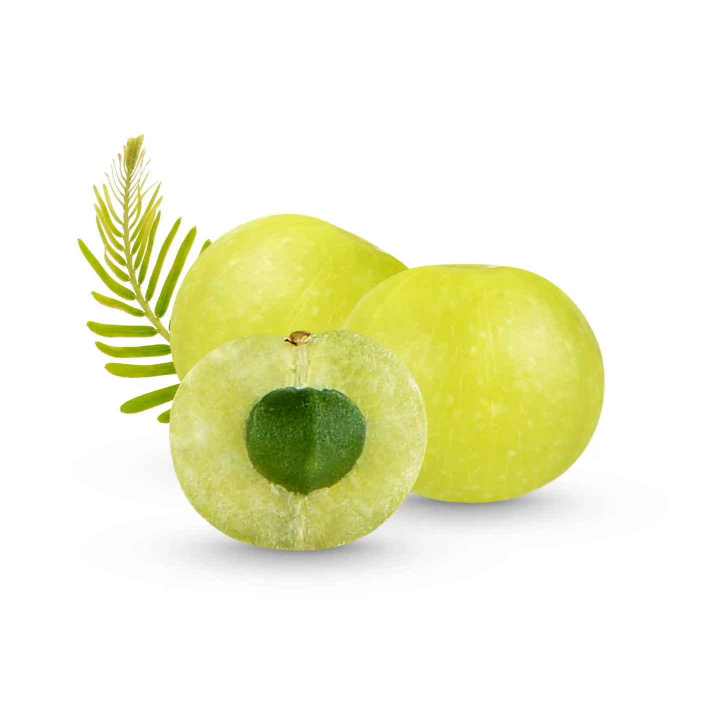 gooseberry-nellikka-amla-powder-50g-pure-herbal-hair-care-powder-phyllanthus-emblica-blueberry-botanicals-india