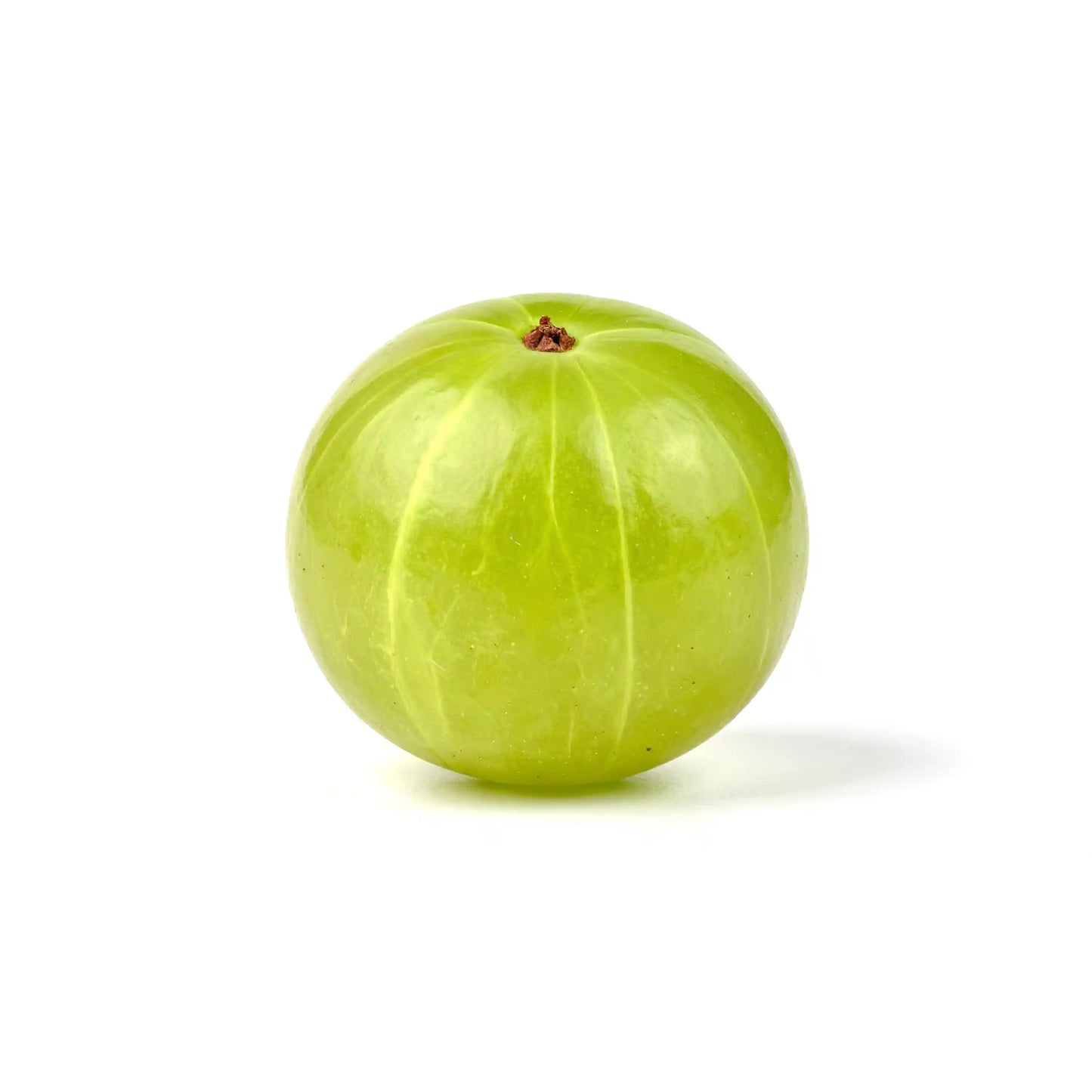 gooseberry-nellikka-amla-powder-50g-pure-herbal-hair-care-powder-phyllanthus-emblica-blueberry-botanicals-india