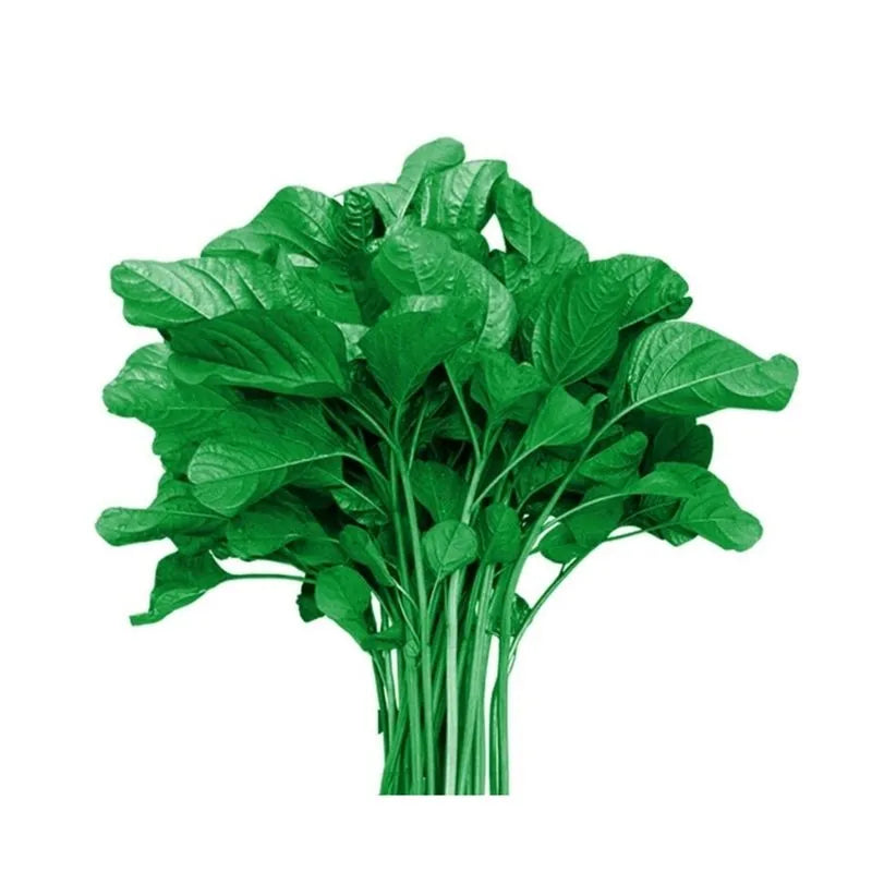 Green Amaranthus Seeds Chaulai Country Variety 10g - Premium Quality