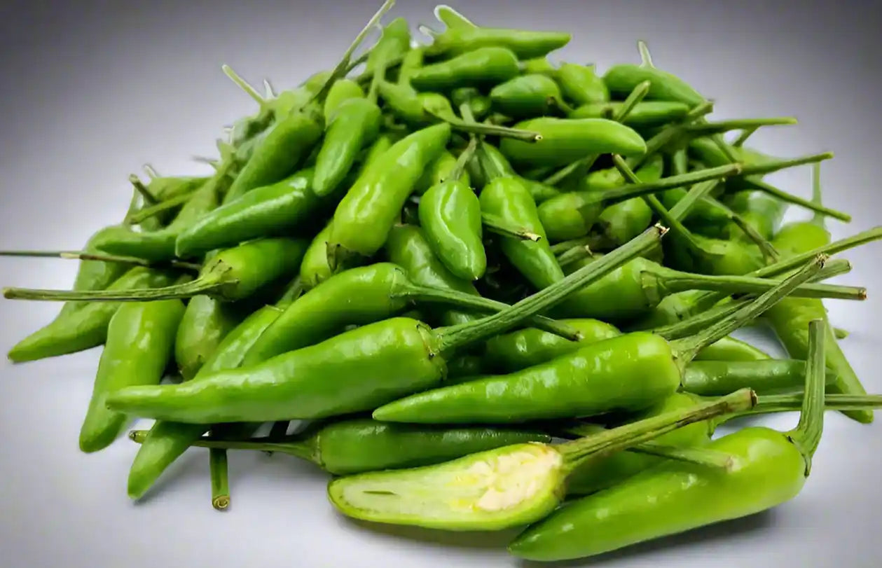 Green Chilly Seeds 60pcs - Cera Variety SHU 15000-30000- Blueberry Botanicals