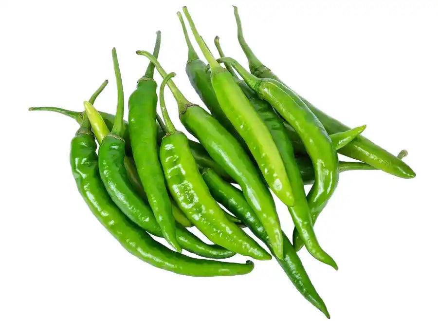 Green Chilly Seeds 60pcs - Cera Variety SHU 15000-30000- Blueberry Botanicals