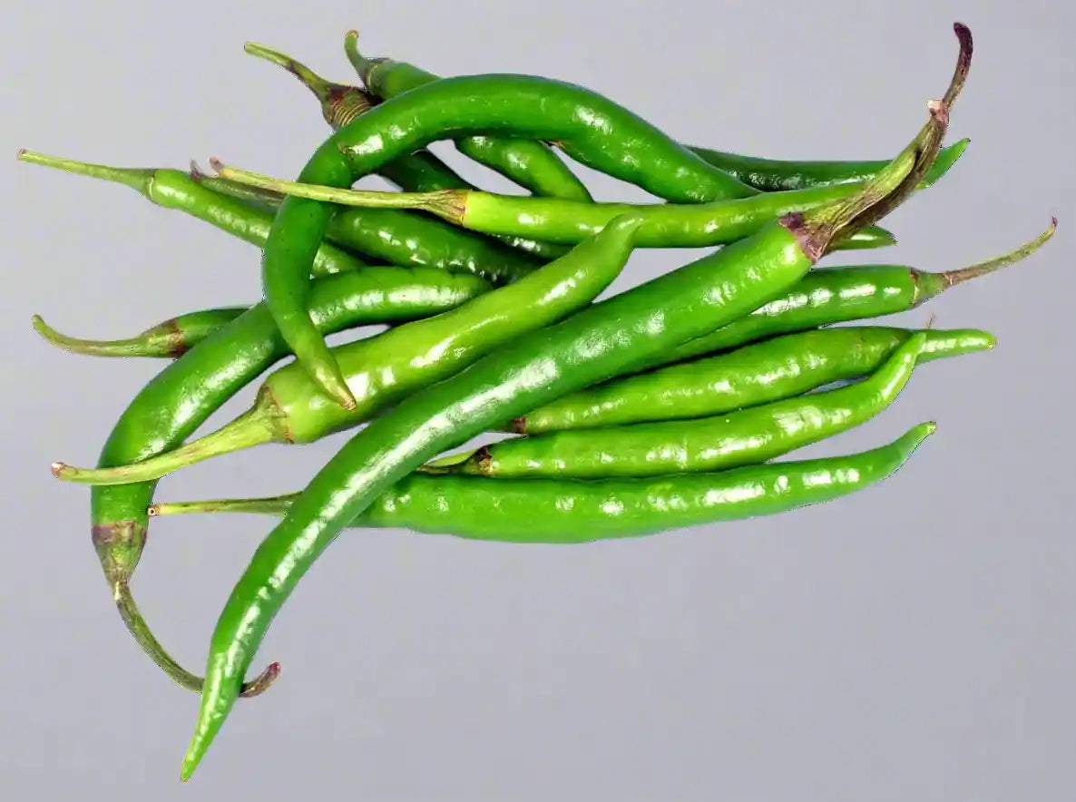 Green Chilly Seeds 60pcs - Cera Variety SHU 15000-30000- Blueberry Botanicals