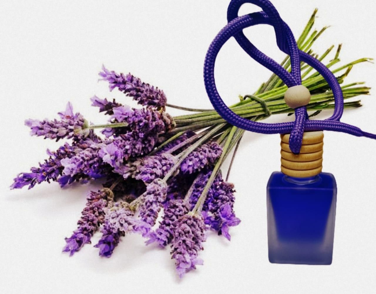 Car Perfume Pods Natural Essential Oil 45-Day Scent | Blueberry Botanicals