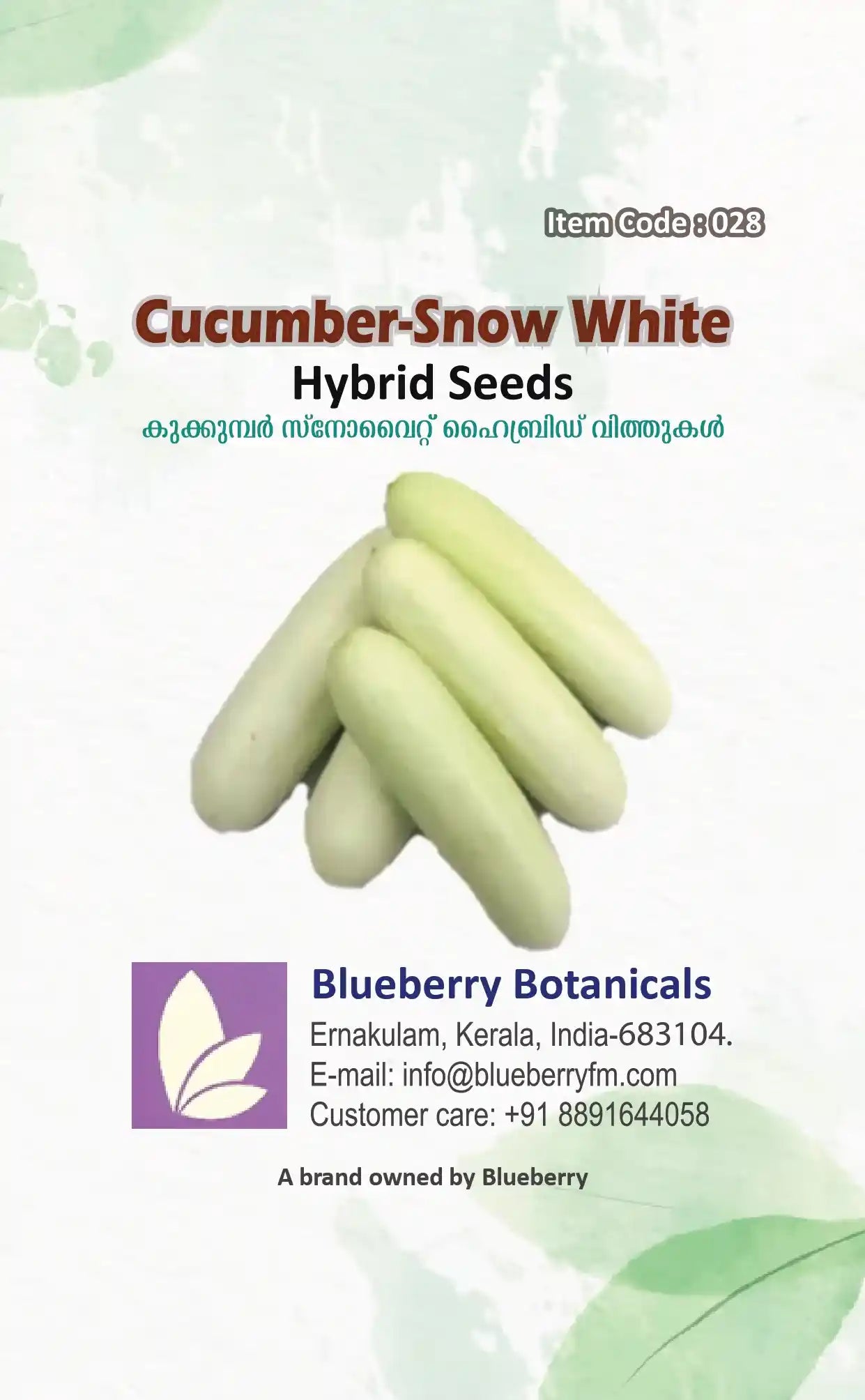 Hybrid F1 Snow White Cucumber Seeds 25pcs - Disease Resistant- Blueberry Botanicals