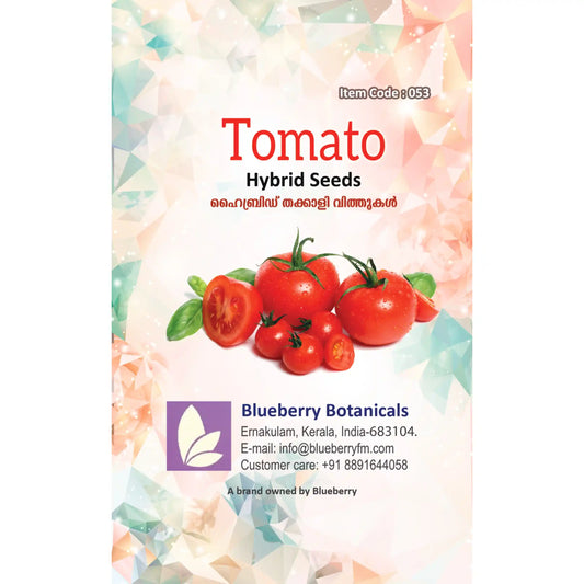 Hybrid Tomato Seeds 80pcs - Superior Yield Disease Resistant- Blueberry Botanicals