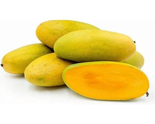 Mallika Mango 30cm | Hybrid Variety | Blueberry Botanicals