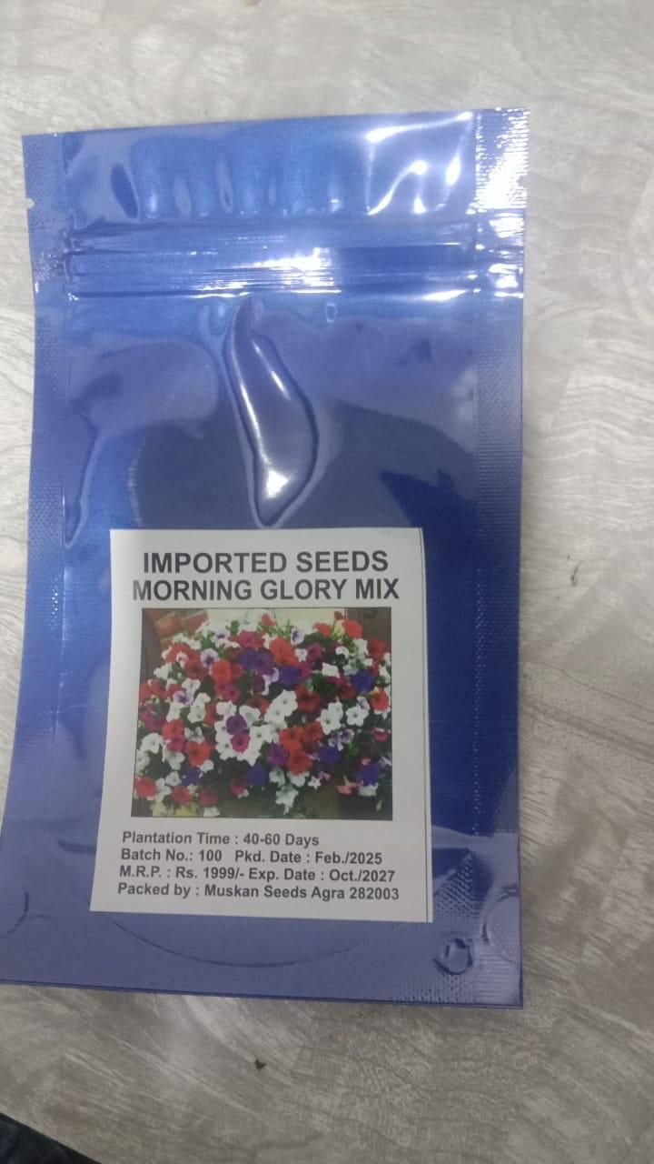 Morning Glory Seeds Mixed Colors - Climbing Flowers | Blueberry Botanicals