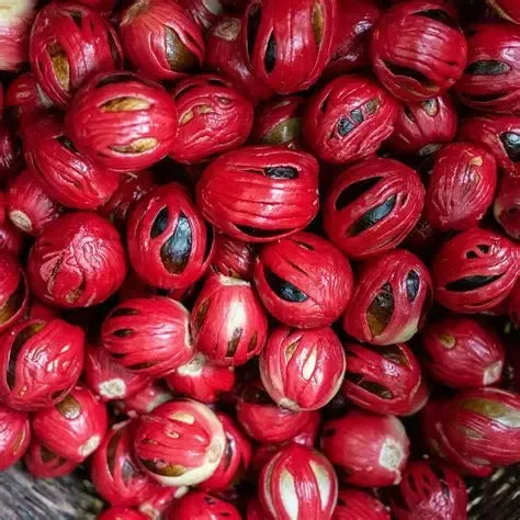 Nutmeg Oil 1L - Premium Myristica Fragrans Pure Essential Oil