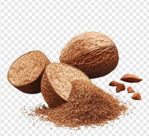 Nutmeg Plants 30cm | Myristica Fragrans | Blueberry Botanicals