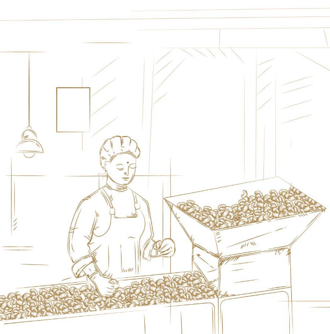 Oil Roasted Salted Cashews 80g Kerala Premium - Blueberry Botanicals