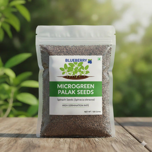 Palak Microgreens Seeds 100g – Fast-Growing Spinach Greens – Premium Quality
