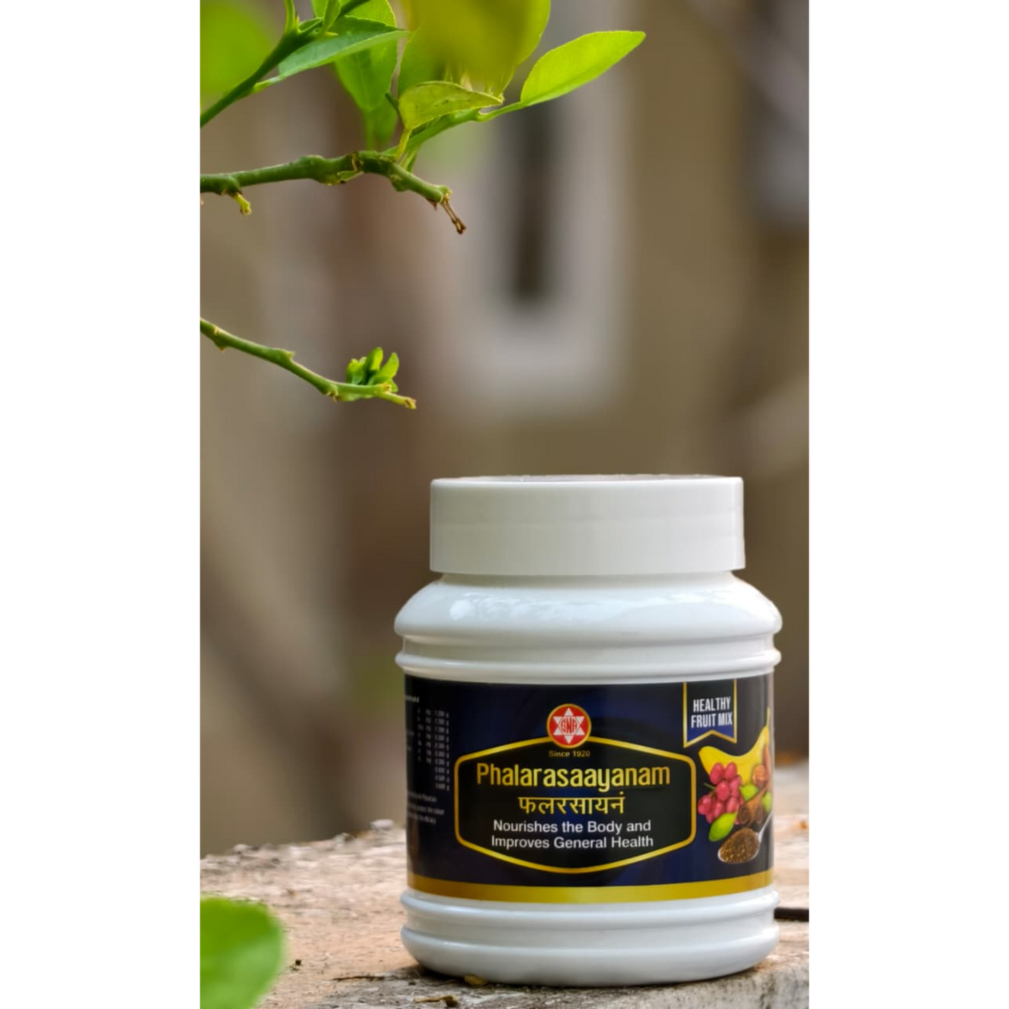 phalarasayanam-g-traditional-ayurvedic-wellnes-sna