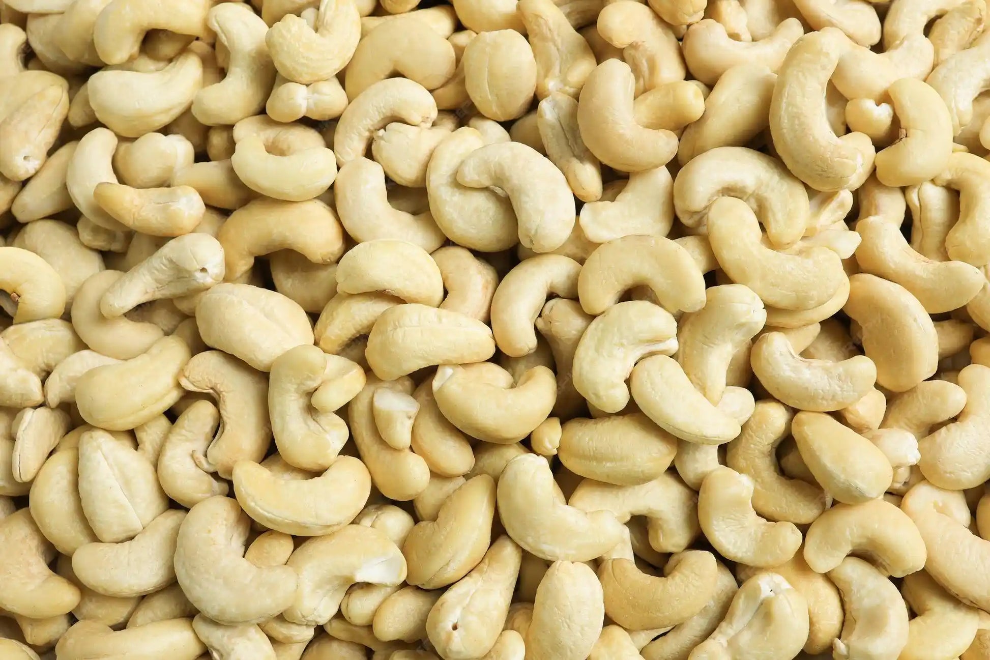 Premium Fresh Raw Cashew Nuts-W150- The Nut Makers- 1 KG