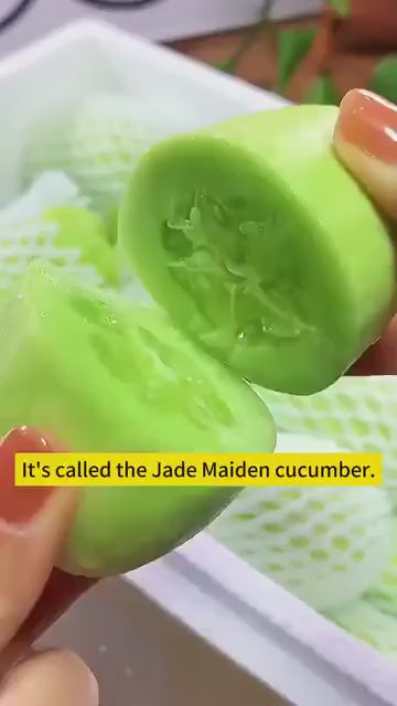 Golden Boy Cucumber Seeds 50 Seeds | Home Gardening