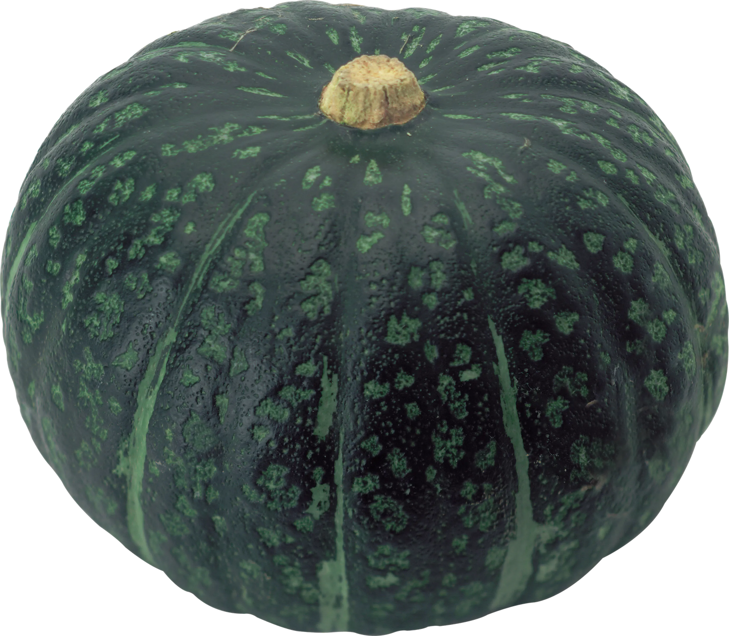 Pumpkin Seeds Green 14pcs - Country Variety Climbing Vine- Blueberry Botanicals