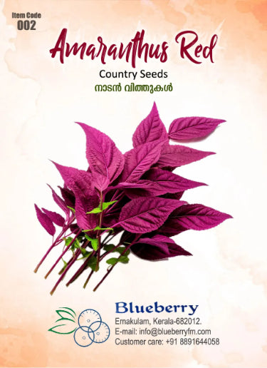 Red Amaranthus Seeds 5g - Country Variety Premium Quality- Blueberry Botanicals - Vlathankara Cheera